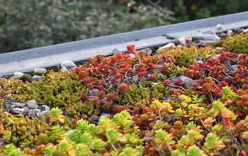 the cost of Malting End green roof installation