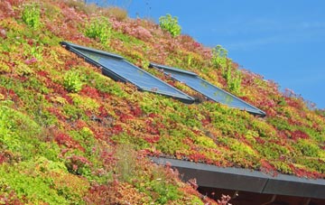 Malting End living roof systems