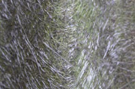 Malting End fibreglass roof work